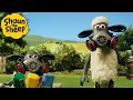 Download Lagu Sheep or Banksy? 🐑 Shaun the Sheep 🐑  - Cartoons for Kids 🐑 Full Episodes Compilation [1 hour]