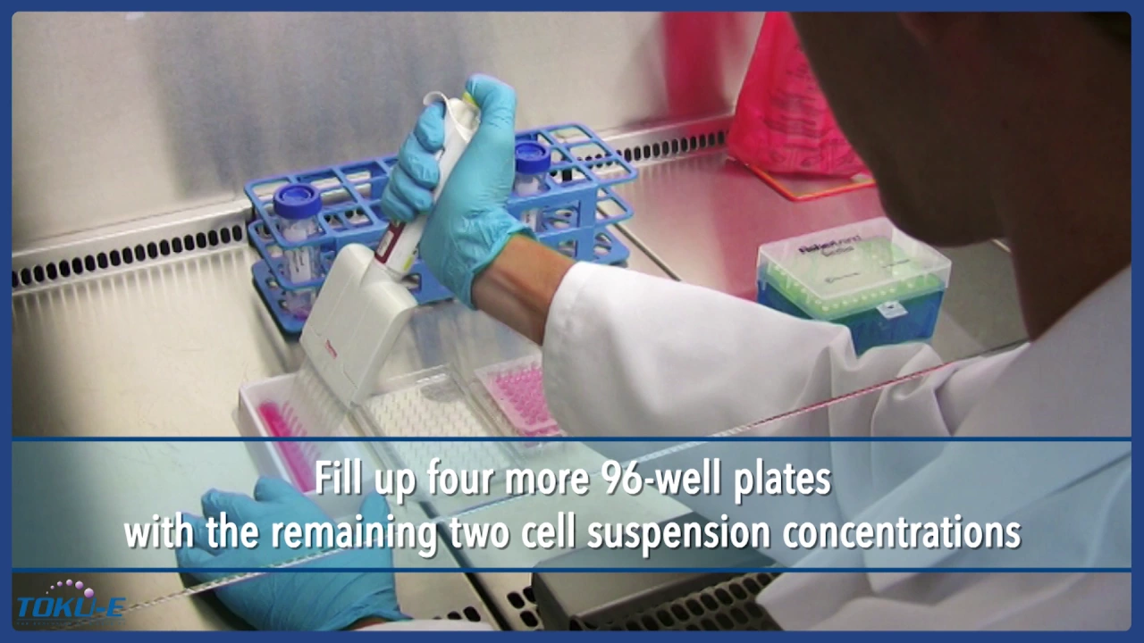 Stage 3 of 3: Generation of Stable, Transfected Cell Lines: Selection