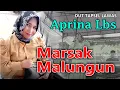 Download Lagu Wow... Legend TAPSEL Kembali‼️APRINA Lbs_Marsak Malungun_ Gemini Music Pro