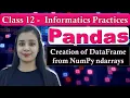 Pandas DataFrame - Creation of DataFrame from NumPy ndarrays CBSE Class 12