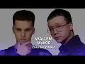 Download Lagu WALLEM, Mult96 - Она безумна