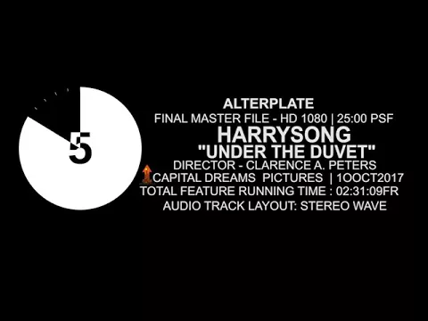 Download MP3 Harrysong-Under-The-Duvet-Official-Video