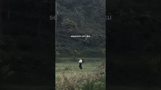 Https Vt Tiktok Com ZSyT9dyS2 Foryou 