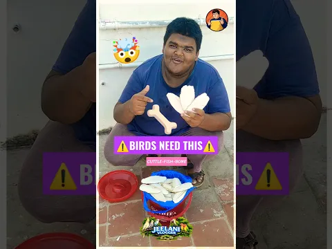 Buying Cuttlefish Bone For My Birds 🐦🦴
