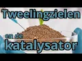 Download Lagu Tweelingzielen en de katalysator #tweelingziel #katalysator #tweelingvlam #union #unionenergie