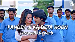 pandey ji ka beta hoon slowed reverb pradeep pandey chintu indu sonali vish lofi world