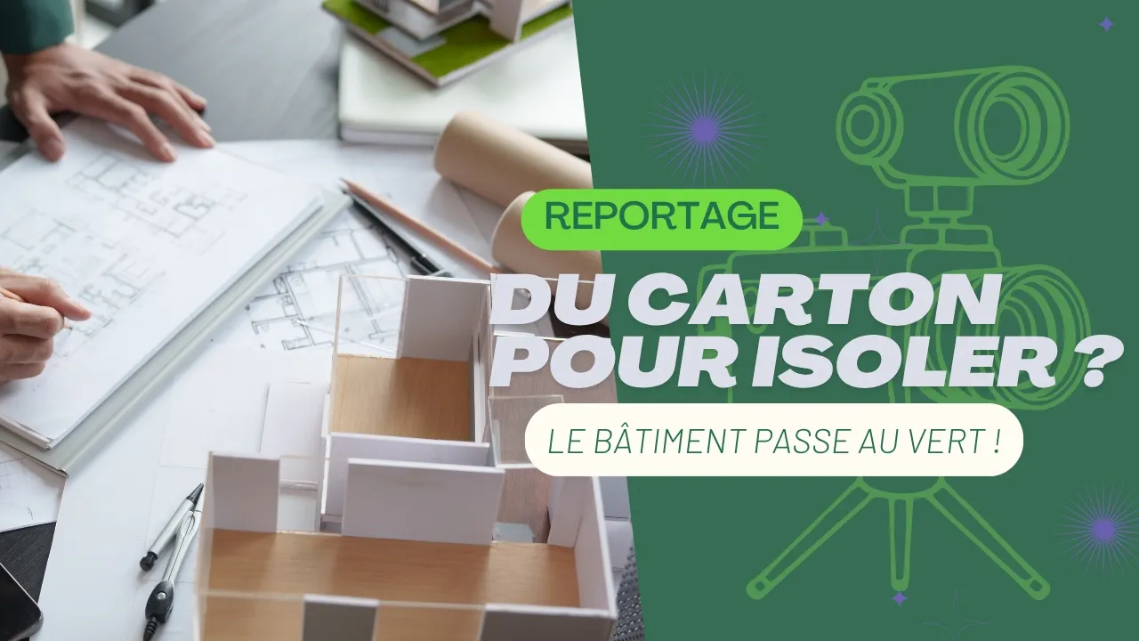 À Saint-Étienne, découvrez des matériaux écologiques pour rénover autrement