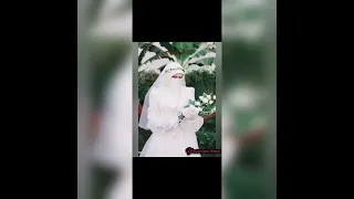 مش هانساها الليلة دي أنا بدون موسيقي 