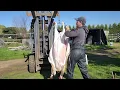 Download Lagu Skinning A Lamb With Compressed Air