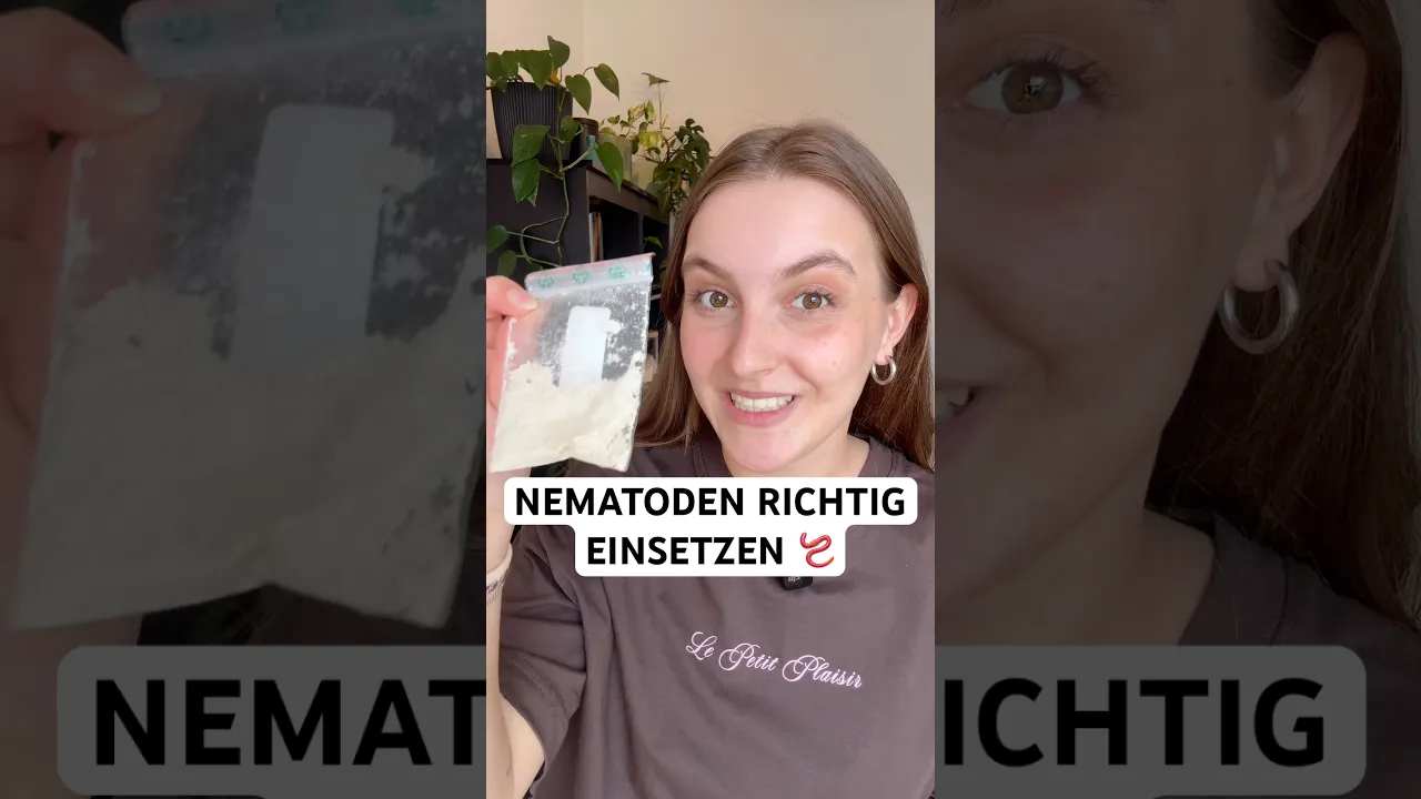 Nematoden richtig einsetzen! So bekämpfst du Trauermücken, Apfelwickler, Engerlinge & Co. biologisch