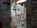 La pulga de salem