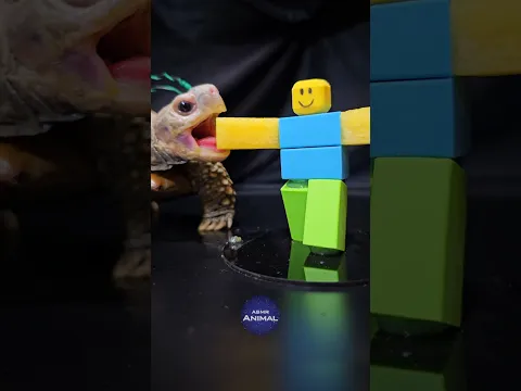 Roblox ASMR Mukbang Eating NOOB ✋
