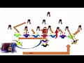 Youth football double wing offense playbook and live action