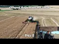Day 2 of Oilseed Rape Harvest 2026