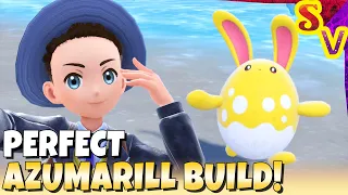 PERFECT AZUMARILL Best Tera Raid Build Guide Bellydrum Huge Power EV IV Trained Adamant