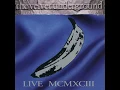 Venus in Furs (Live)