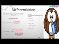 Differentiation of Algebraic Fractions Mathematics SS3 2nd Term