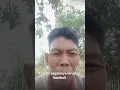 Lagu dari mega mustika berdarah lagi