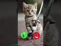 Download Lagu Mi telephone number ringtone 😯😯😯😯😯🤙 #ringtone #smartphone #music #ringtones #song #cat #funny