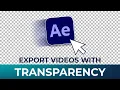 Learn How to Export Transparent Background s in Adobe After Effects