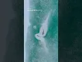 Download Lagu 🦈 Sharks in Crystal-Blue Waters | Cinematic Maldives Drone Footage with Mavic 3 Pro