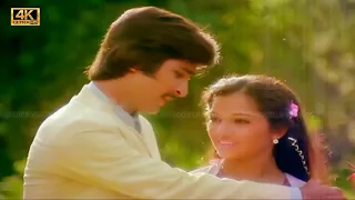  mylapore pakkam mayila kandene song ilayaraja love song 
