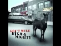 Download Lagu Gov`t Mule - Brand new angel