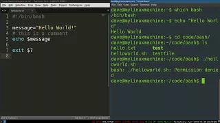 Bash Programming 4 How Bash Scripts Work