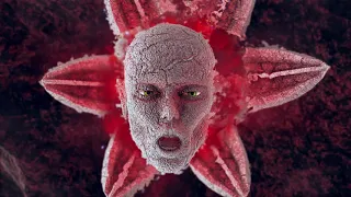 ADR Earthright Official Video 