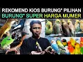 Download Lagu 🔴 REKOMENDASI KIOS ISINYA BURUNG\