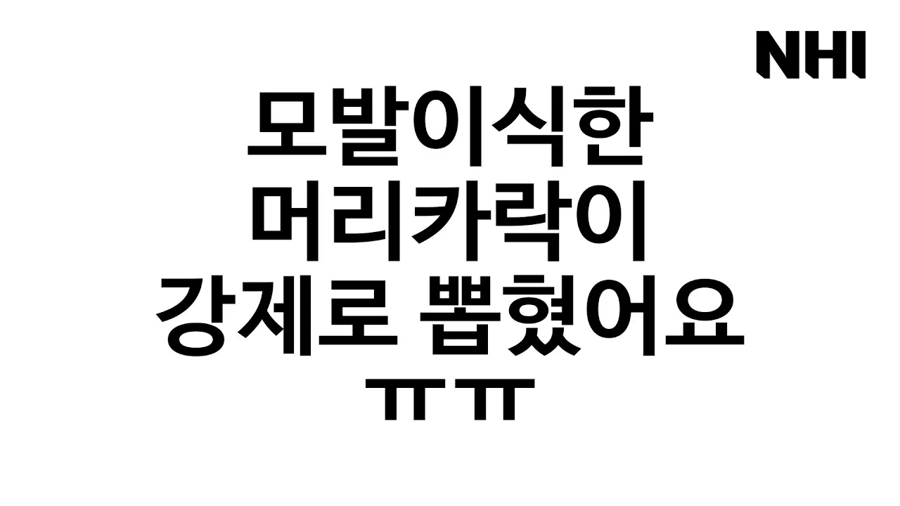 모발이식한 머리카락이 뽑혔는데 다시 날까요?ㅣ뉴헤어 [모발이식][모발이식후기]