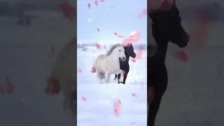                           قد الشوق دندنها