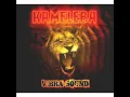 Desamor Diplomatico - Kameleba