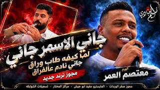 الهرم معتصم العمر مجوز ترند جديد جاني الاسمر جاني لما كيفه طاب وراق جاني نادم عالفراق دندنها