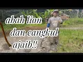 Download Lagu PETANI HEBAT||CANGKUL SAWAH#bajak#sawah#kampungku MP3
