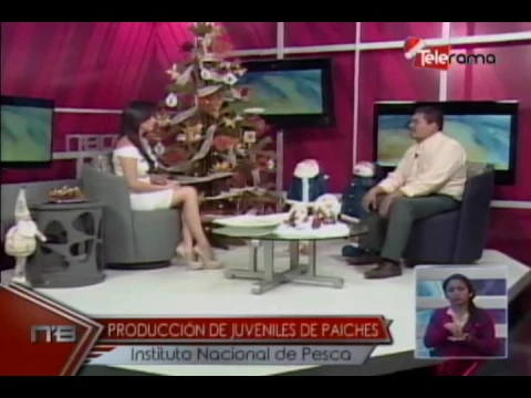 Promoción de Juveniles de Paiches Instituto Nacional de Pesca