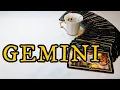 Lagu GEMINI - This Will Be a Shock to the System! OCTOBER 20th-26th