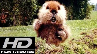 Caddyshack • I'm Alright • Kenny Loggins