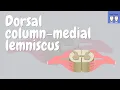 Dorsal Column-Medial Lemniscus pathway