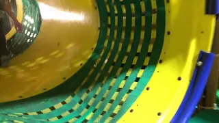 Jungle Java playground
