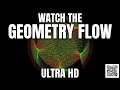 Hypnotic Math Simulation