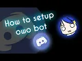 How to setup owo bot discord very easily on your smartphone