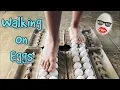 Lagu Walking on Eggs - Cool Science Experiment and fun challenge!