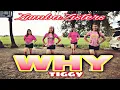 Download Lagu WHY | by TIGGY | ZUMBA | ZumbaZisters | Ann Teofilo Zz Ann