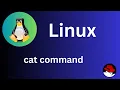 Basic Linux Commands cat command Explained