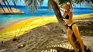 😮 We did it ⛵️🏝️#sailing #boatlife What can you do in a year?