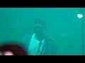 Isaac Delusion - Couleur menthe à l'eau (Live cover) Paris, Solidays 2024