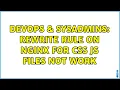 DevOps SysAdmins rewrite rule on nginx for css js files not work