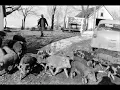 So God Made a "Farmer", by Paul Harvey