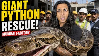 GAINT PYTHON IN MUMBAI FACTORY RESCUED🐍😱 !!